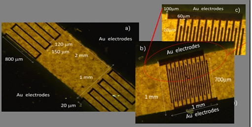 Optical microscope images of the GO microcapacitor examples prepared by the C-ion, 5MeV via ion beam lithography.