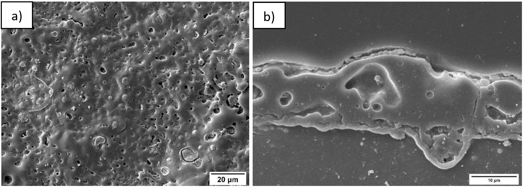 Obr. 1: Charakteristické snímky a) povrchu a b) příčného řezu PEO vrstvy připravené na hořčíkové slitině, pořízené pomocí skenovací elektronové mikroskopie. 
