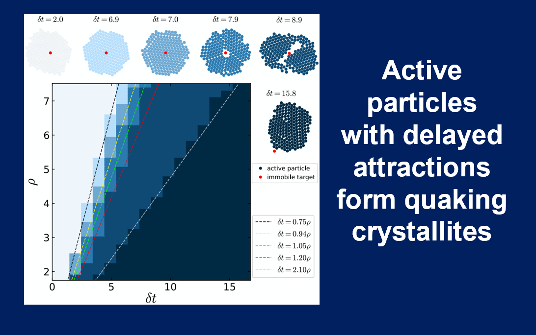 Active particles