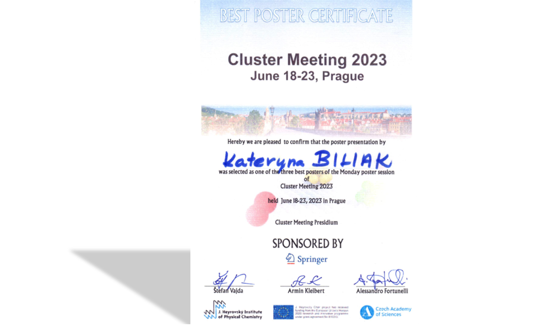 Cluster Meeting