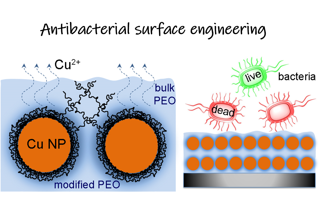 antibacterial surface engeneering