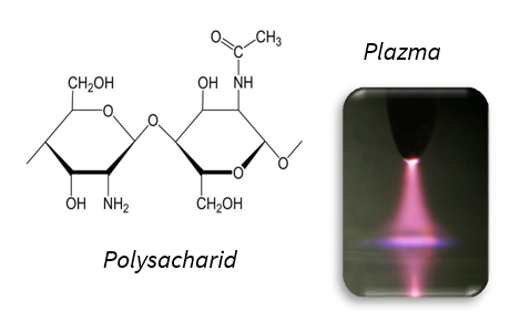 Plazma a polysacharidy