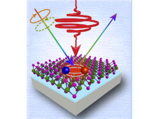 Journal article on ultrafast control of excitons in 2D semiconductors using optical coherence phenomena