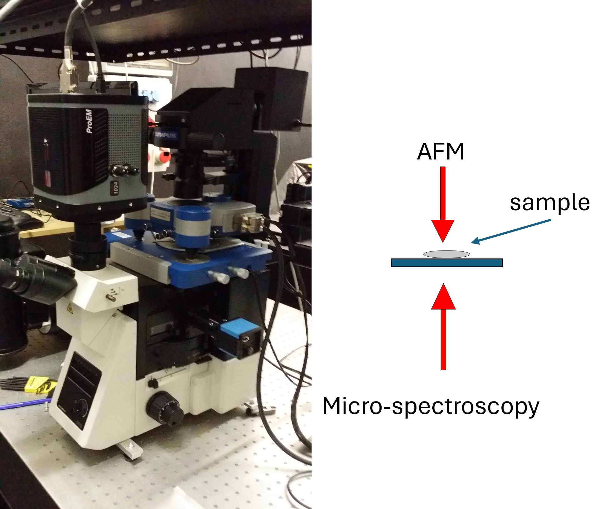 AFM setup