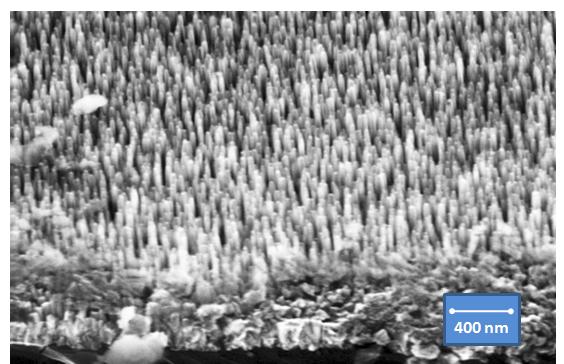 Nanostructured Diamond Trees