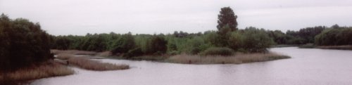 Mal Balaton