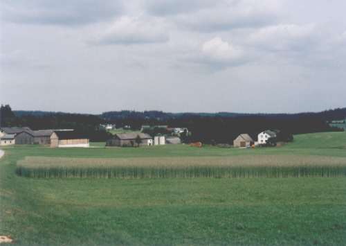 Rakouská vesnièka