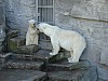 DSC01440.JPG