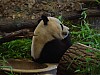 DSC01444.JPG