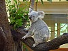 DSC01458.JPG