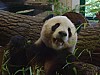 DSC01469.JPG