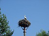 DSC01518.JPG