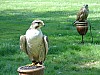DSC01548.JPG