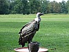DSC01566.JPG